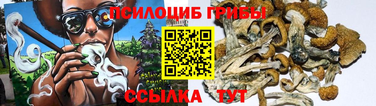Псилоцибиновые грибы MAGIC MUSHROOMS Реж